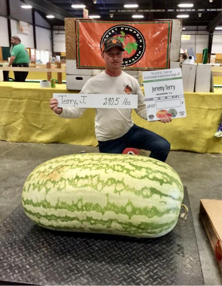 Top 500 heaviest watermelons